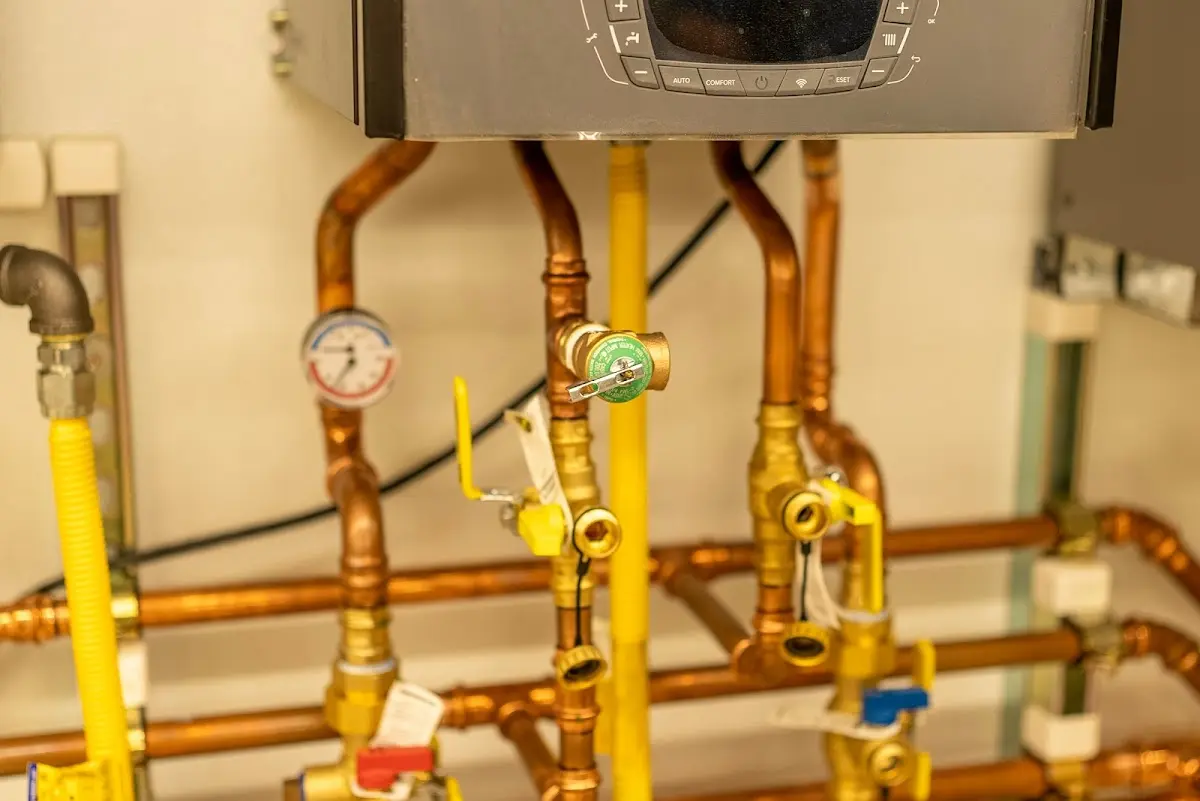 Licensed technician providing Sump Pump Repair for a homeowner in Sodus